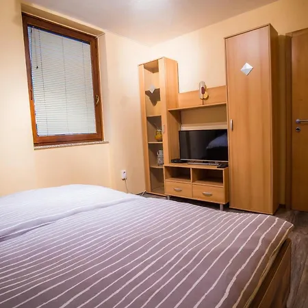 Apartment Veninsek *