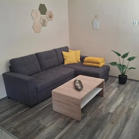 Apartment Veninsek *